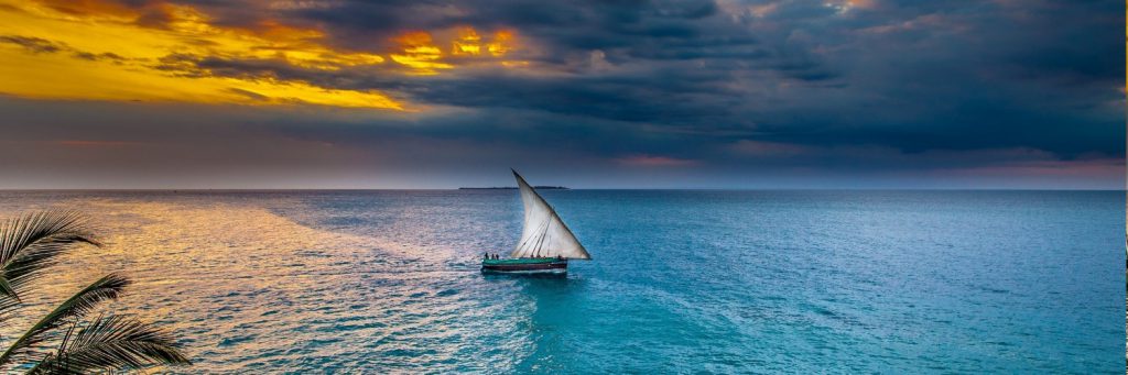 رهبری اقیانوس آبی