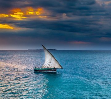 رهبری اقیانوس آبی