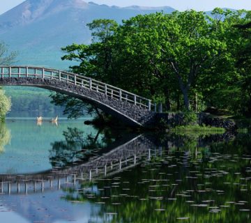 تفکر سیستمی