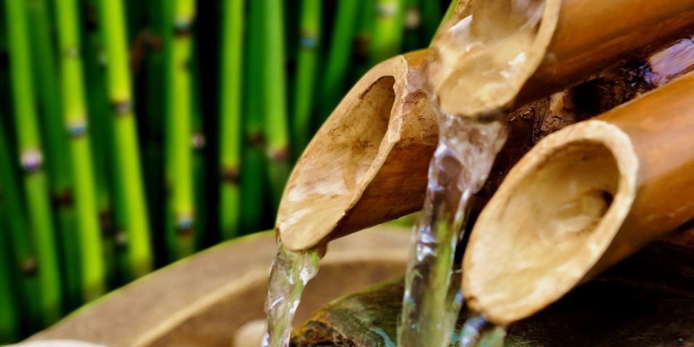 Aging Chain with PDY