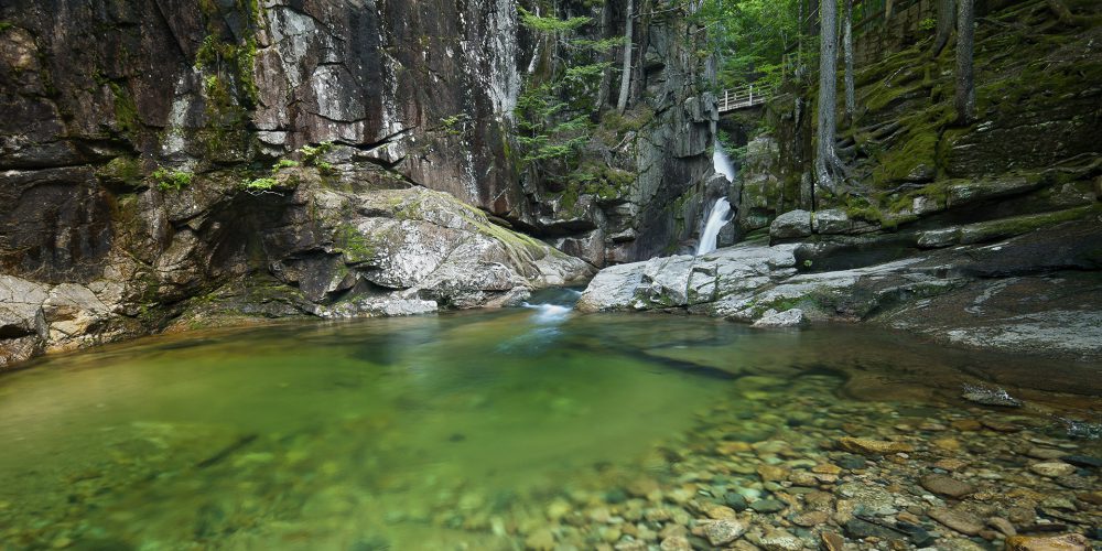 FIRST-ORDER STOCK ADJUSTMENT