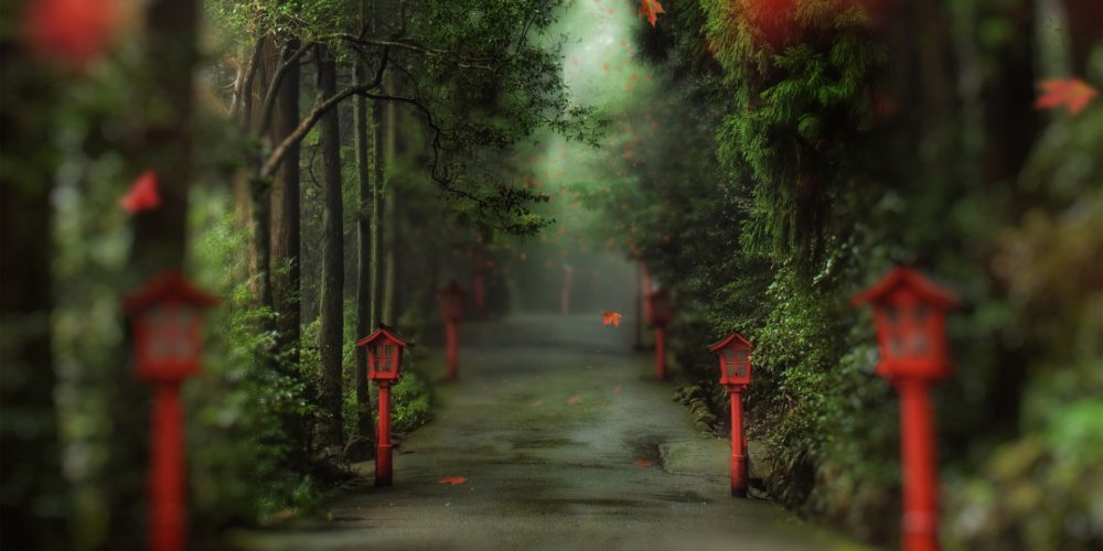 alley_in_the_forest-wallpaper-1920x1080