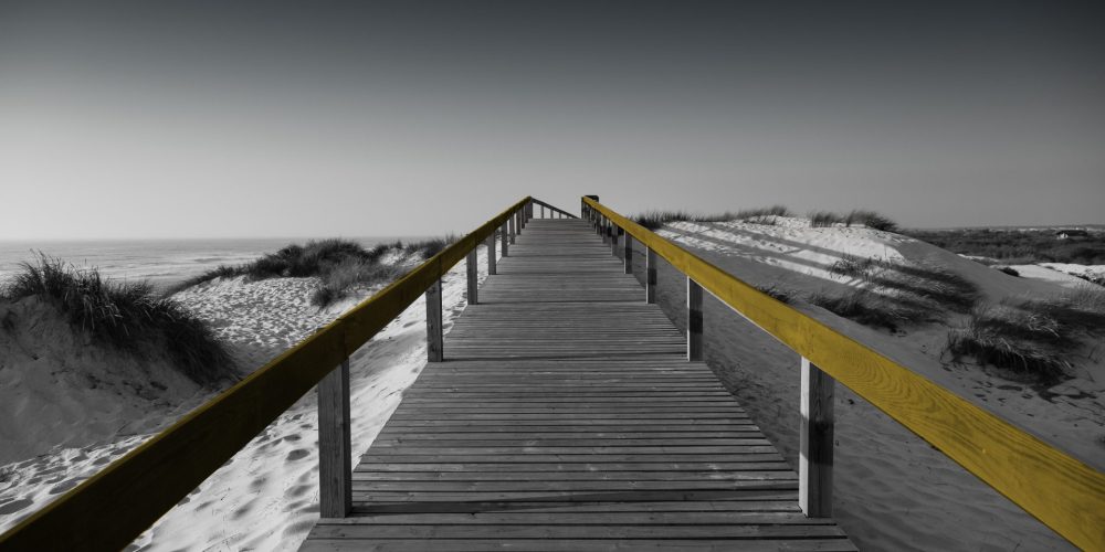 دوازده نقطه اهرمی