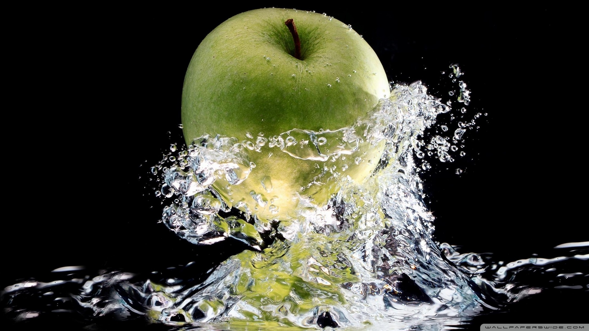 اکوسیستم آب