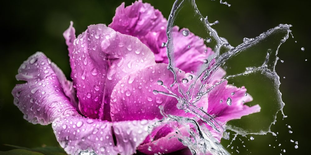 علیت در مقابل همبستگی