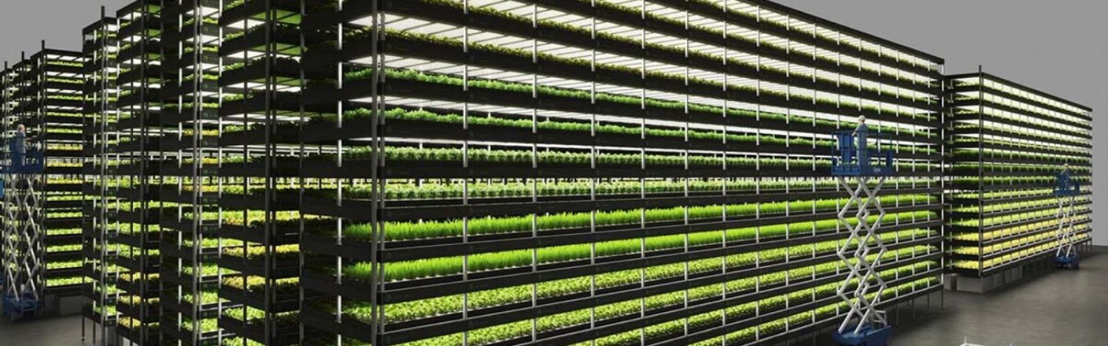 مزارع عمودی ۱