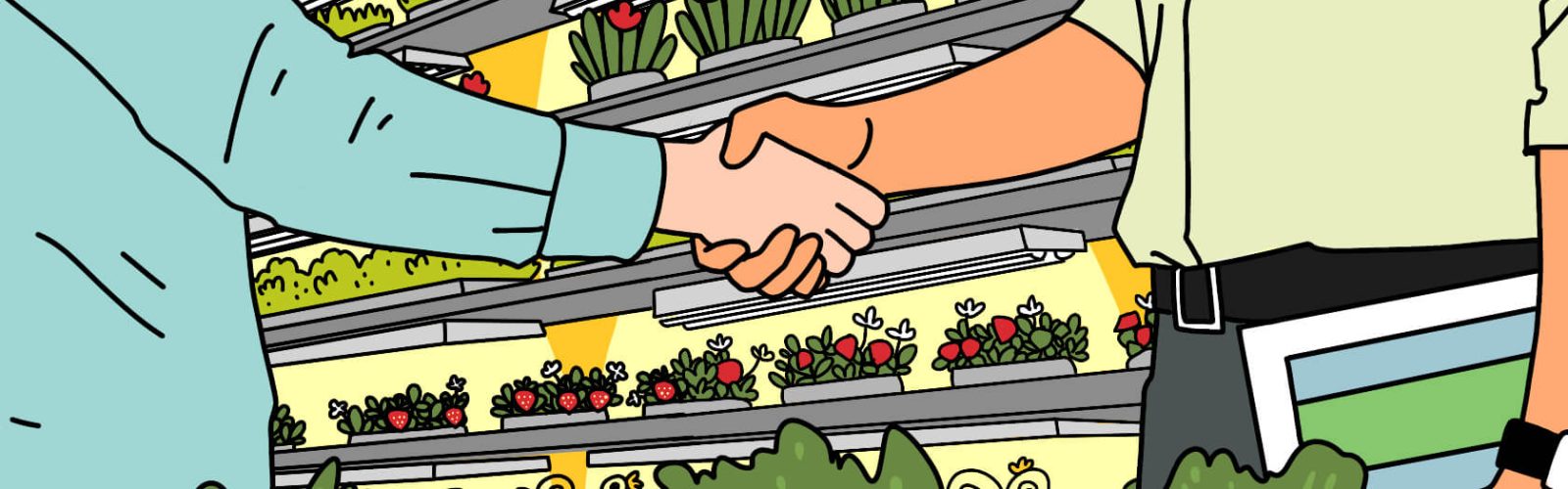 بازار کشاورزی عمودی