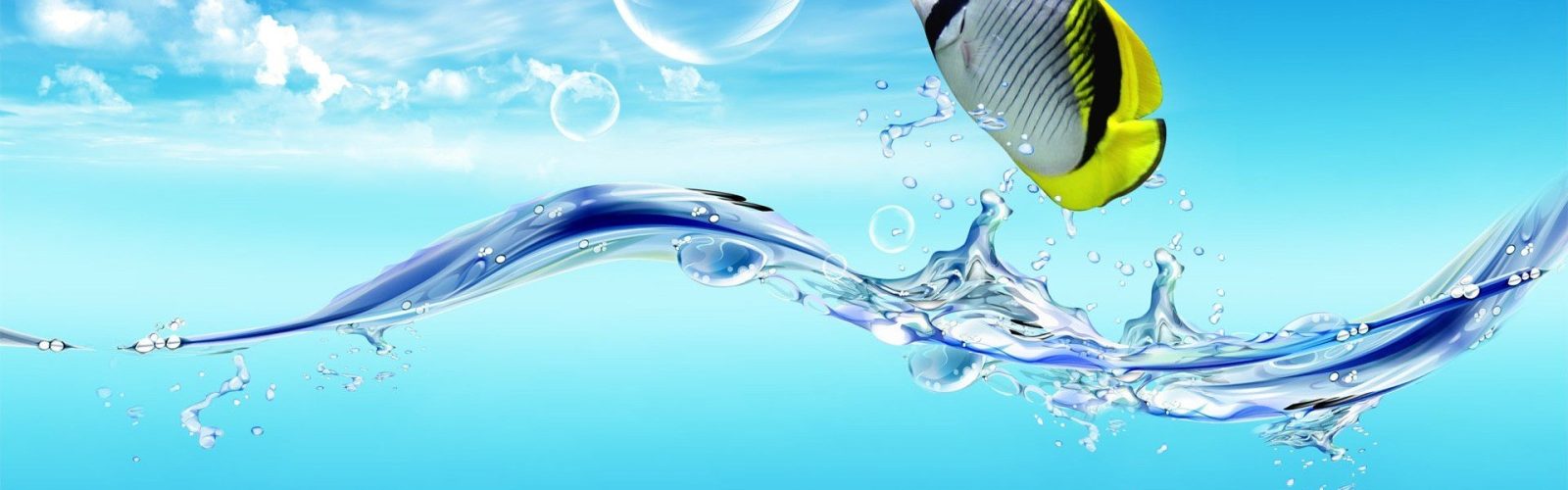 Wallpapers tagged Fish Wallpapers Ocean sea Underwater_yyt