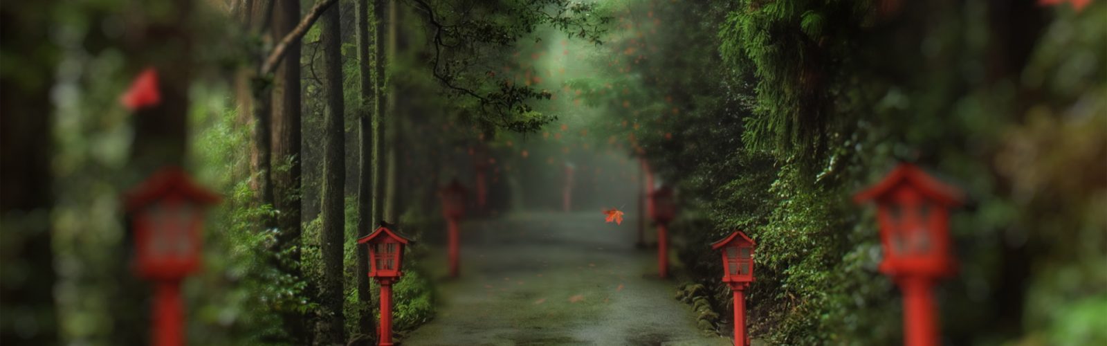 alley_in_the_forest-wallpaper-1920x1080