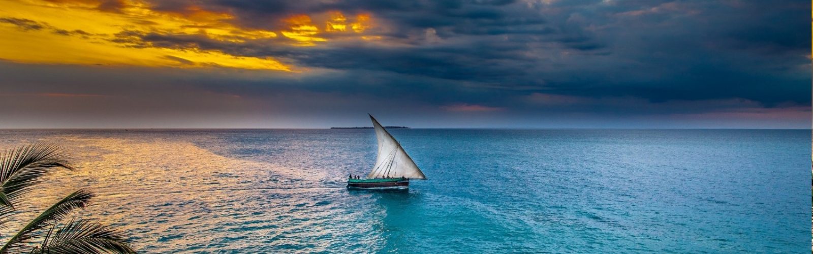 رهبری اقیانوس آبی